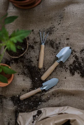 Professionelle & private Gartenpfleger www.allekommen.at